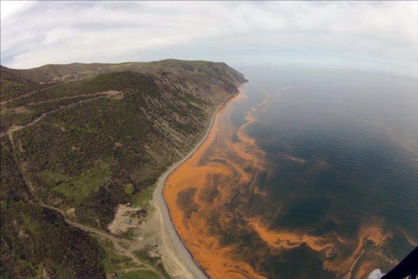 Marmara Denizi'nde endişe