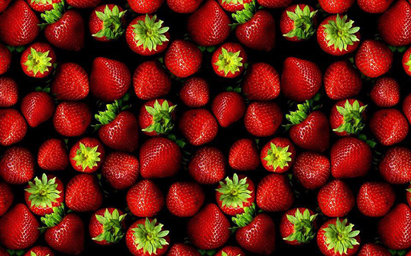 Çilek tütüncünün dermanı oldu!