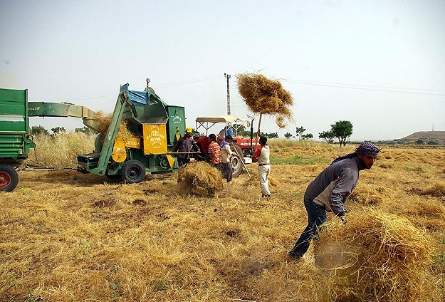 Borcu olan çiftçiye destek  yok