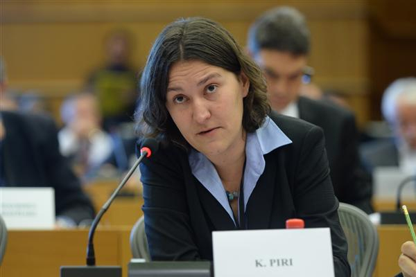 'Sığınmacı yükünü Türkiye tek başına taşıyor'