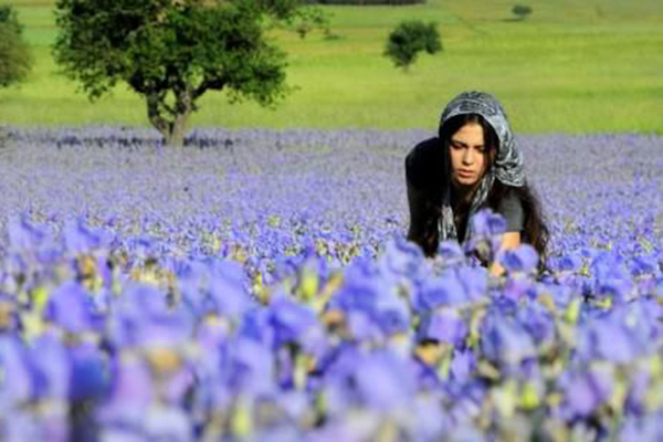 Kilogramı 5 bin euro