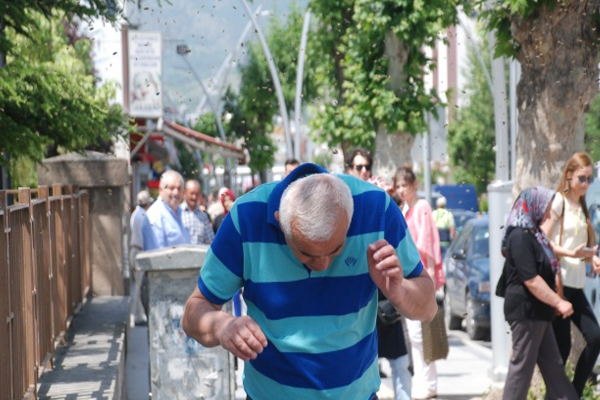 Kraliçe şehre indi, vatandaşlara zor anlar yaşattı!