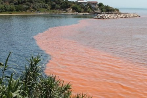 Marmara Denizi kızıla boyandı