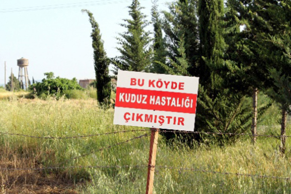 O ilde alarm! 6 ay süreyle karantinaya alındı