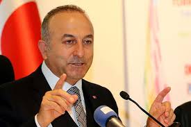 Çavuşoğlu : Türkiye olmadan Doğu Akdeniz'deki hiçbir adım geçerli değildir.