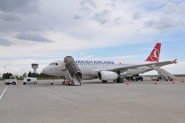 Kuşlardan THY'e engel