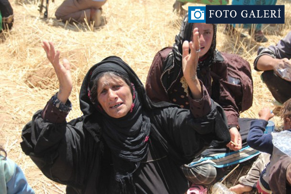 Rasulayn'dan kaçan Suriyelilerin Türkiye'ye alınmaları sürüyor