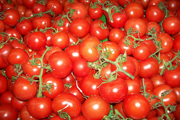 Tarıma 9 yılda 64 milyar liralık teminat