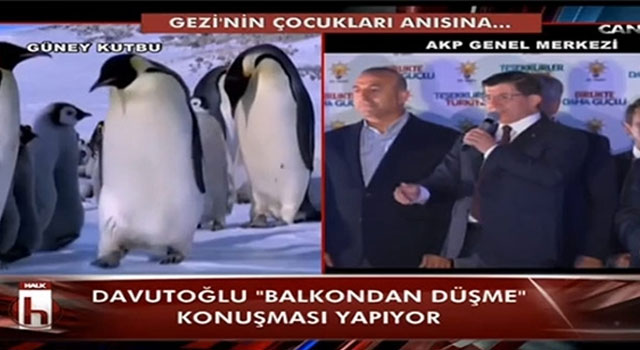 Halk TV'den AK Parti'ye penguenli gönderme