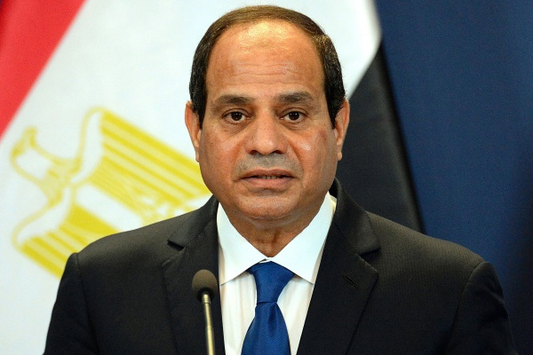 Sisi'den polis şiddeti özrü