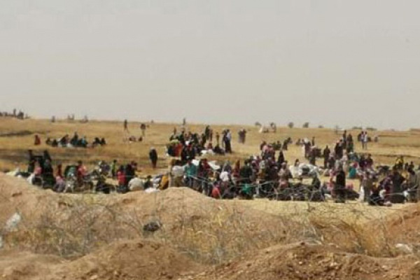 Onların derdiyse savaştan kaçmak