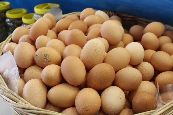 Yumurta üretimi düştü