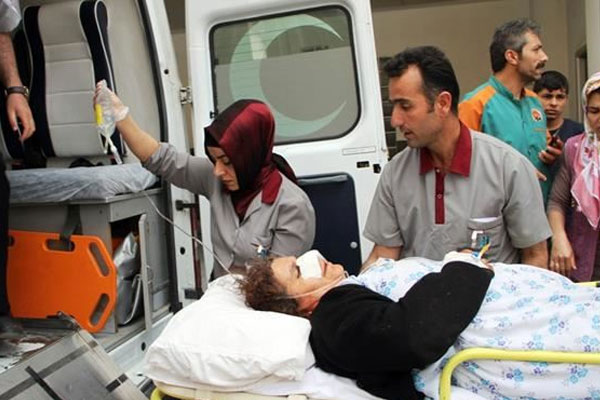 Van'da kuduz köpek alarmı