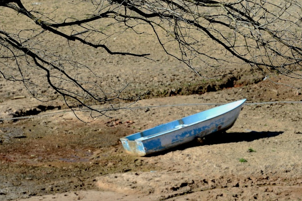 Ekilebilir araziler hızla kayboluyor