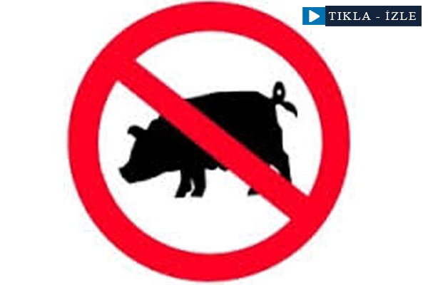 Domuz eti neden zararlıdır?