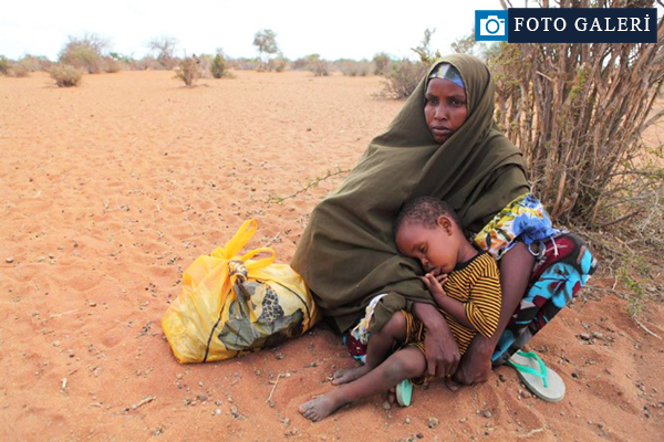 Yaşayacak yer arıyorlar