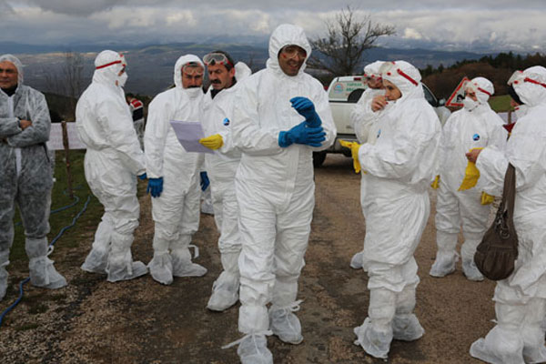 Kayseri'de kuş gribi alarmı