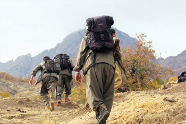 Hakkari'de 2 PKK'lı teslim oldu