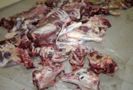 Kırk yıllık kaçak et