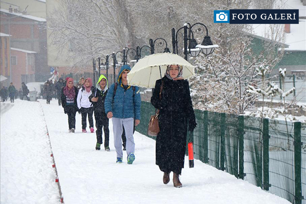 Doğu Anadolu'da kar yağışı
