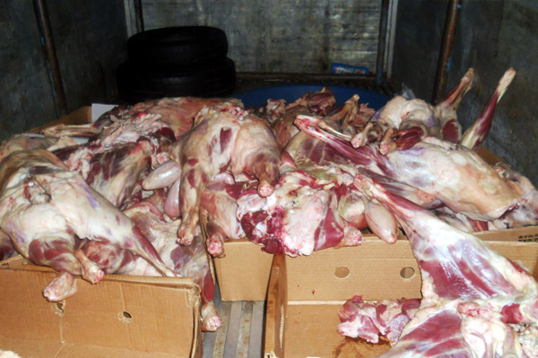 Tam 43 ton kaçak et yakalandı