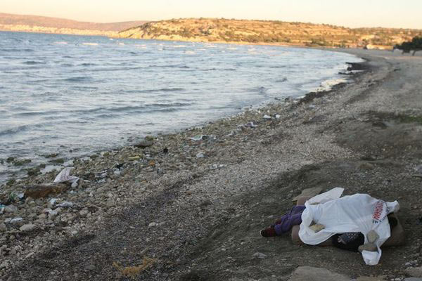 İkinci Aylan vakası