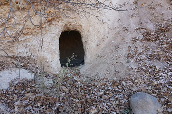 Operasyonlarda 5 sığınak imha edildi