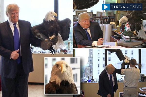 Donald Trump'a kartal saldırısı