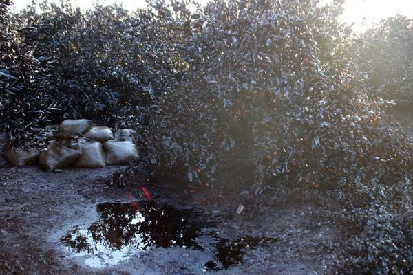 Petrol çalmak isterken boruyu patlattılar