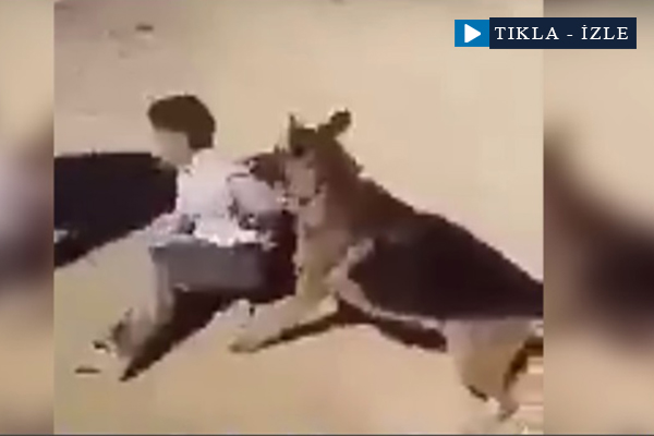 Filistinli çocuğa işkence!