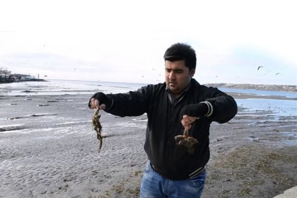 İstanbul'da deniz yüz metre çekildi