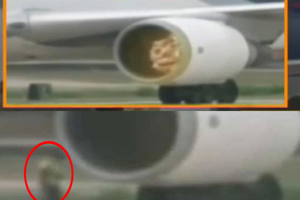 Uçak motoru teknisyeni yuttu