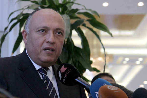 Mısır'dan Türkiye'ye zeytin dalı