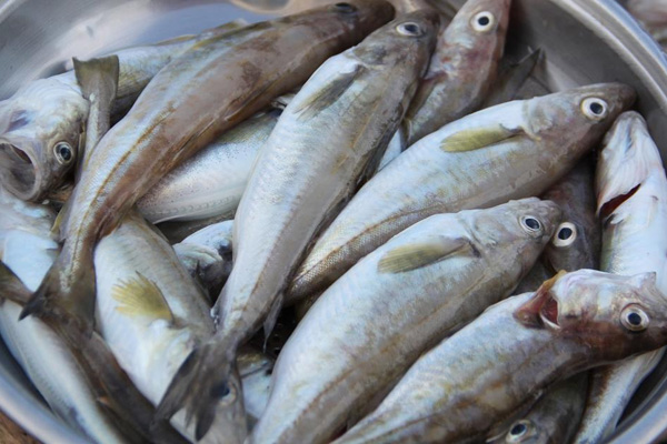 Mezgit vatandaşı sevindirecek