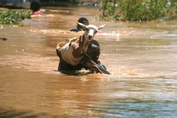 Kenya'da 100 kişi öldü