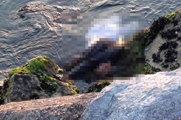 Sahilde 2 ceset bulundu