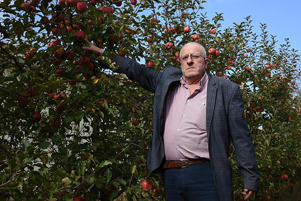 Maden emeklisine 55 ton elma 'ikramiyesi'