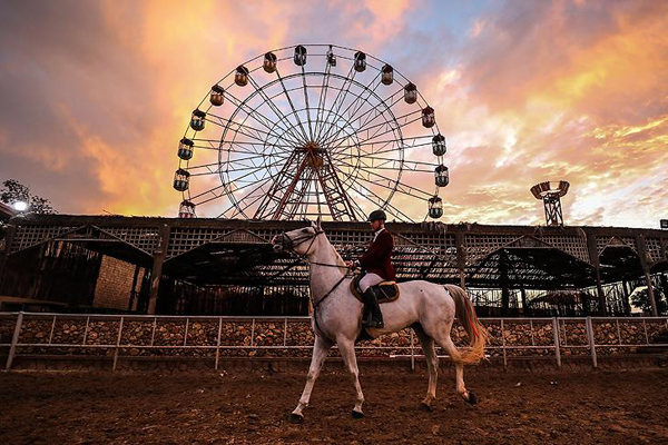 Filistinli 35 biniciden engellilere destek