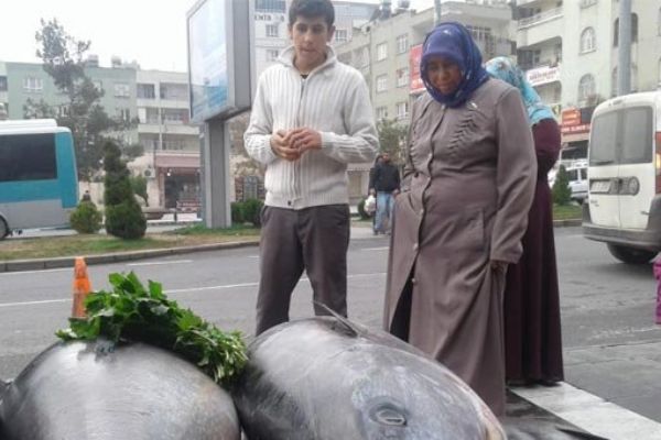 Yer: Şanlıurfa! Bakan bir kez daha baktı