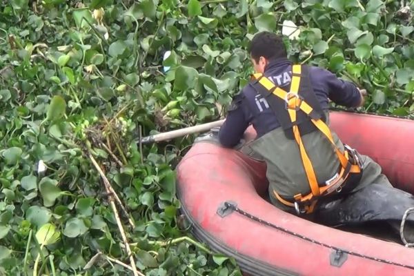 Asi Nehrini istila ettiler