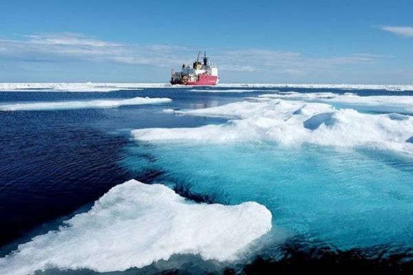 Güney Kutbuyla Kuzey Kutbu arasındaki fark