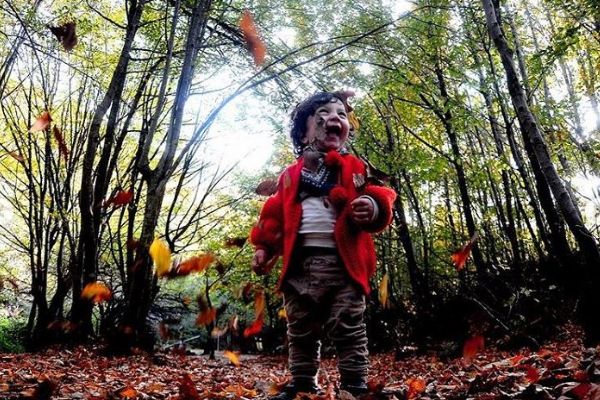 Yalova Çınarcık'ın Ken Ormanında sonbahar