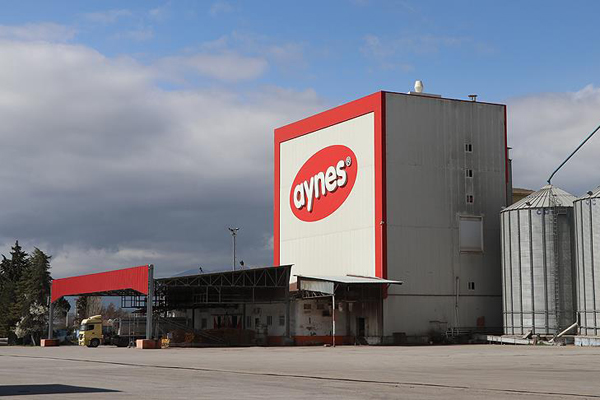 Aynes'teki kayyum kararı kaldırıldı