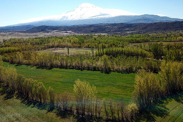 Yeni eylem planından tarım ve ormancılığa destek çıktı