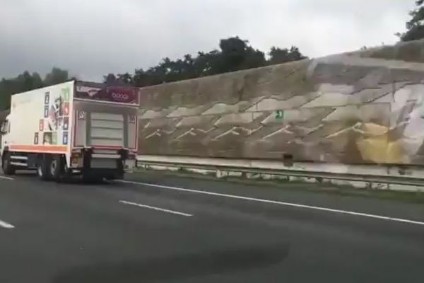 Saatte 100 km hızla uçan güvercin, arabalarla yarıştı