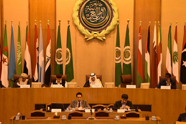 Arap Birliği TSK’nın operasyonlarını kınadı