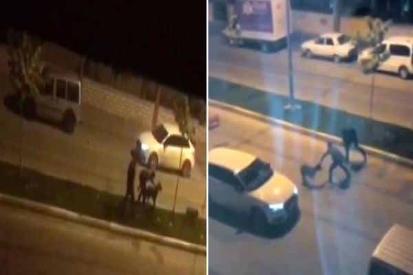 Magandalar kemerle köpekleri dövdü