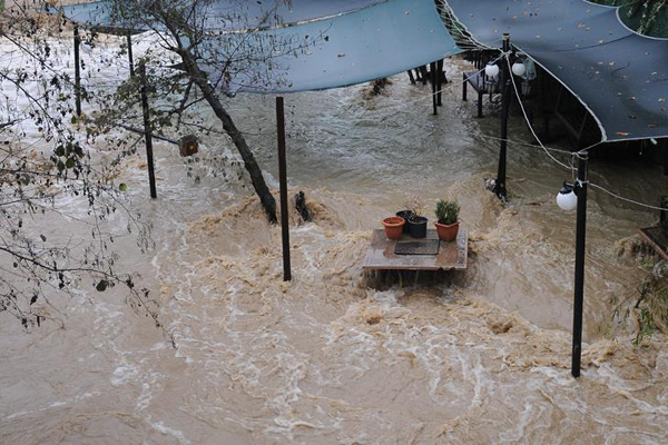 Yalova'da kuvvetli yağış seralarda zarara yol açtı