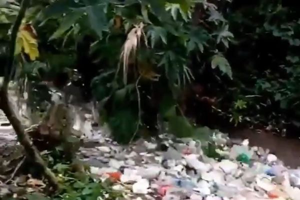 İnsanoğlunun doğayı yok ediyor