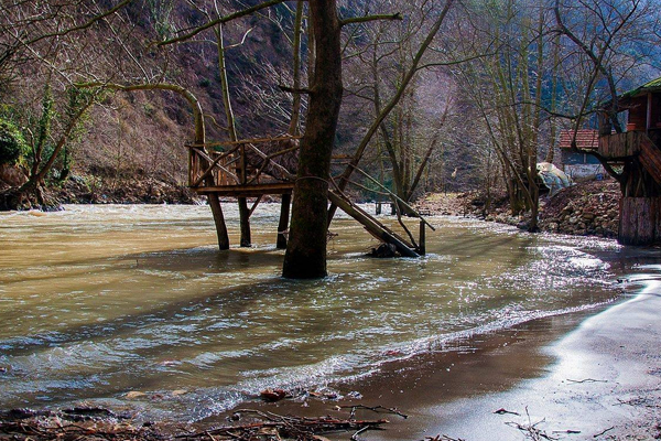 Melen Çayı'na flor döküldüğü iddiası